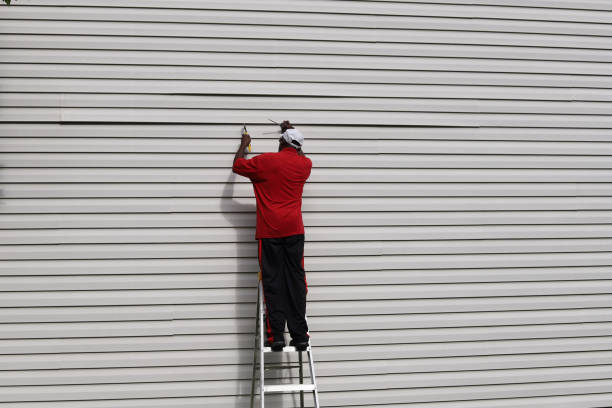 Best Vinyl Siding Installation  in Peach Springs, AZ